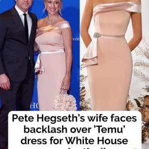 Pete Hegseth's Wife's WHCD Outfit Sparks Online Fashion Debate