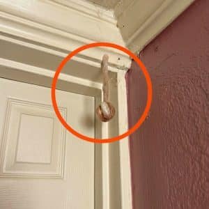 We Found a Wasp Nest Hidden in Our Luxury Hotel Room — and We'd Been There 3 Days