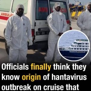 Hantavirus Cruise Ship Outbreak Kills Three — Officials Identify Likely Origin