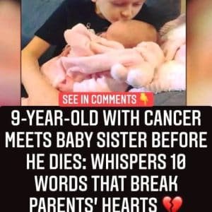 He Told His Family He Would Become Their Guardian Angel — Then Bailey Cooper Closed His Eyes for the Last Time