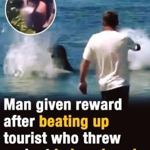 Tourist Accused of Throwing Rock at Endangered Hawaiian Monk Seal in Maui